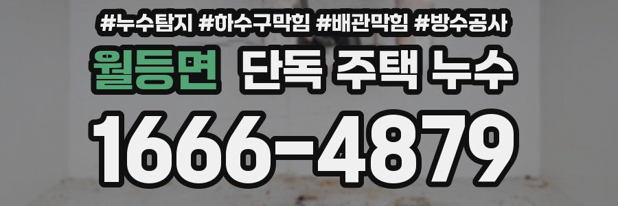 월등면 단독 주택 누수
