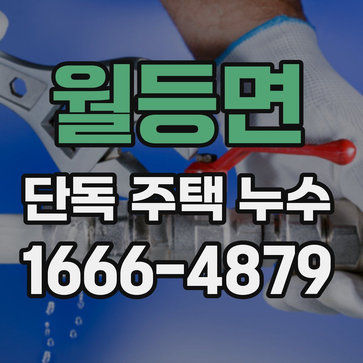 월등면 단독 주택 누수