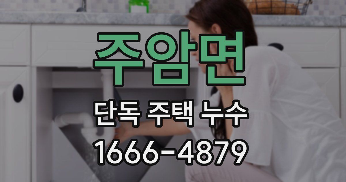 주암면 단독 주택 누수