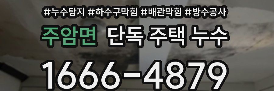 주암면 단독 주택 누수