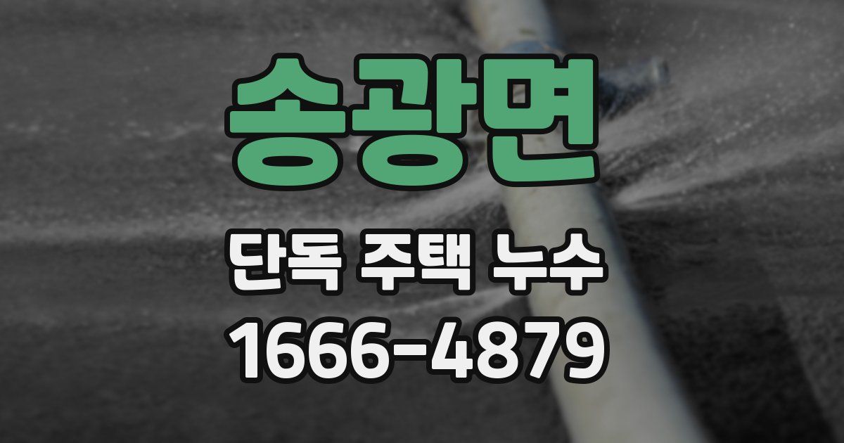 송광면 단독 주택 누수