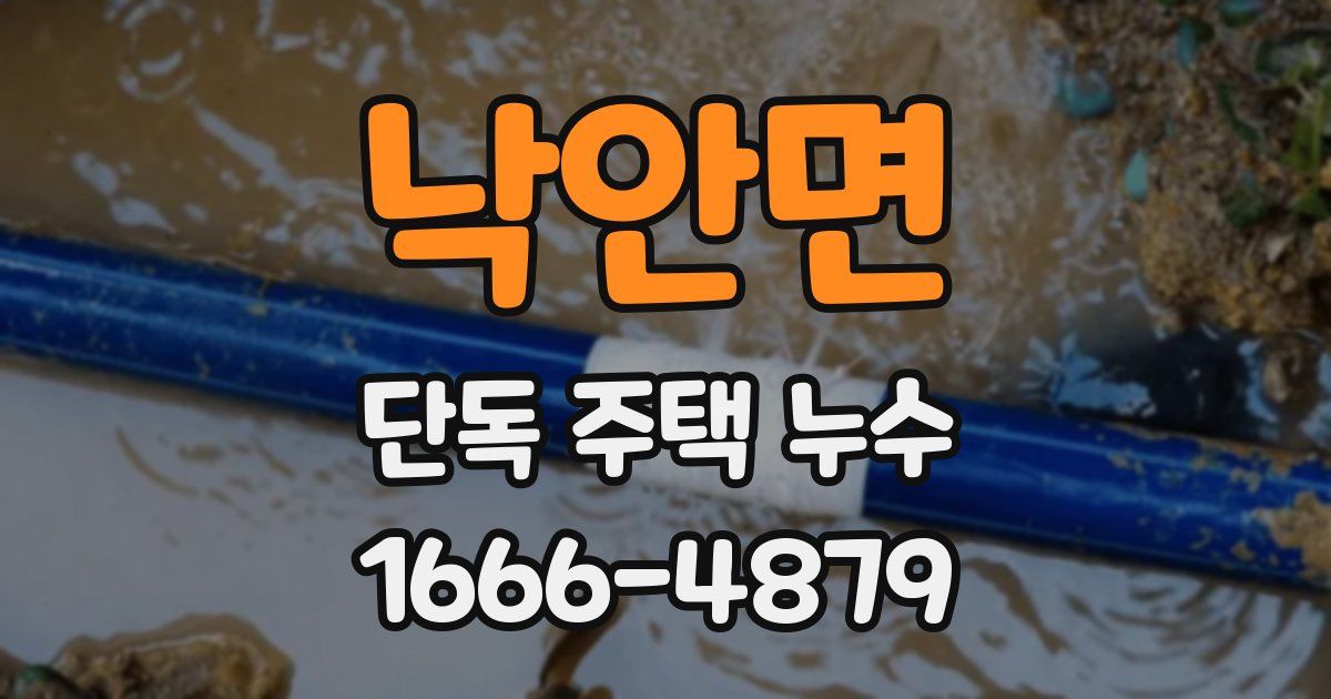 낙안면 단독 주택 누수