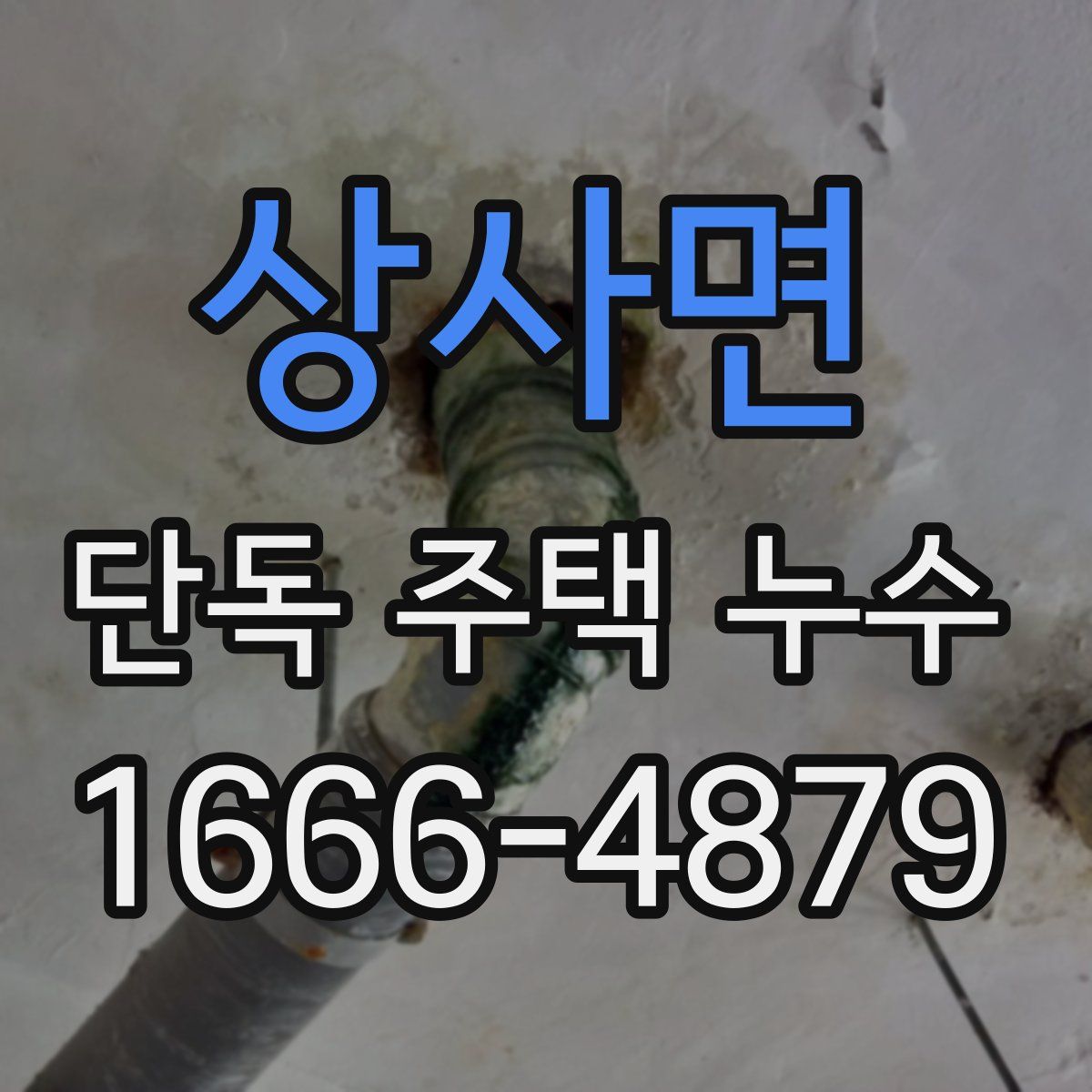상사면 단독 주택 누수