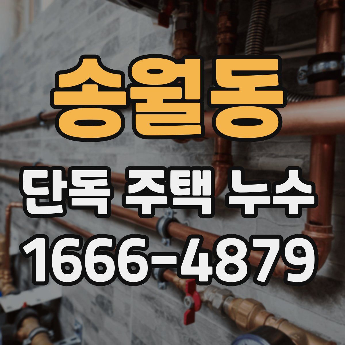송월동 단독 주택 누수