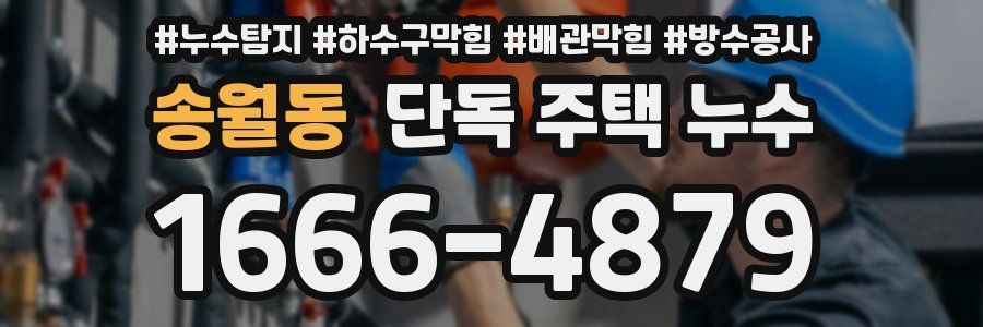 송월동 단독 주택 누수
