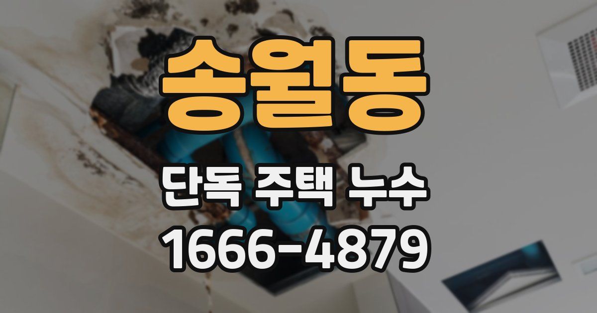 송월동 단독 주택 누수