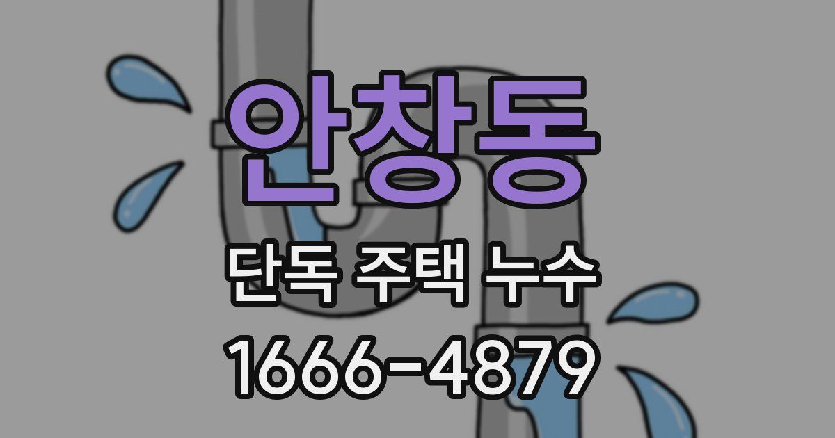 안창동 단독 주택 누수