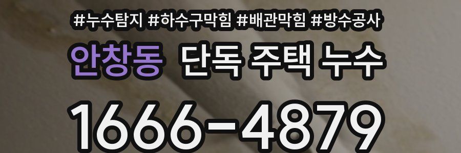 안창동 단독 주택 누수