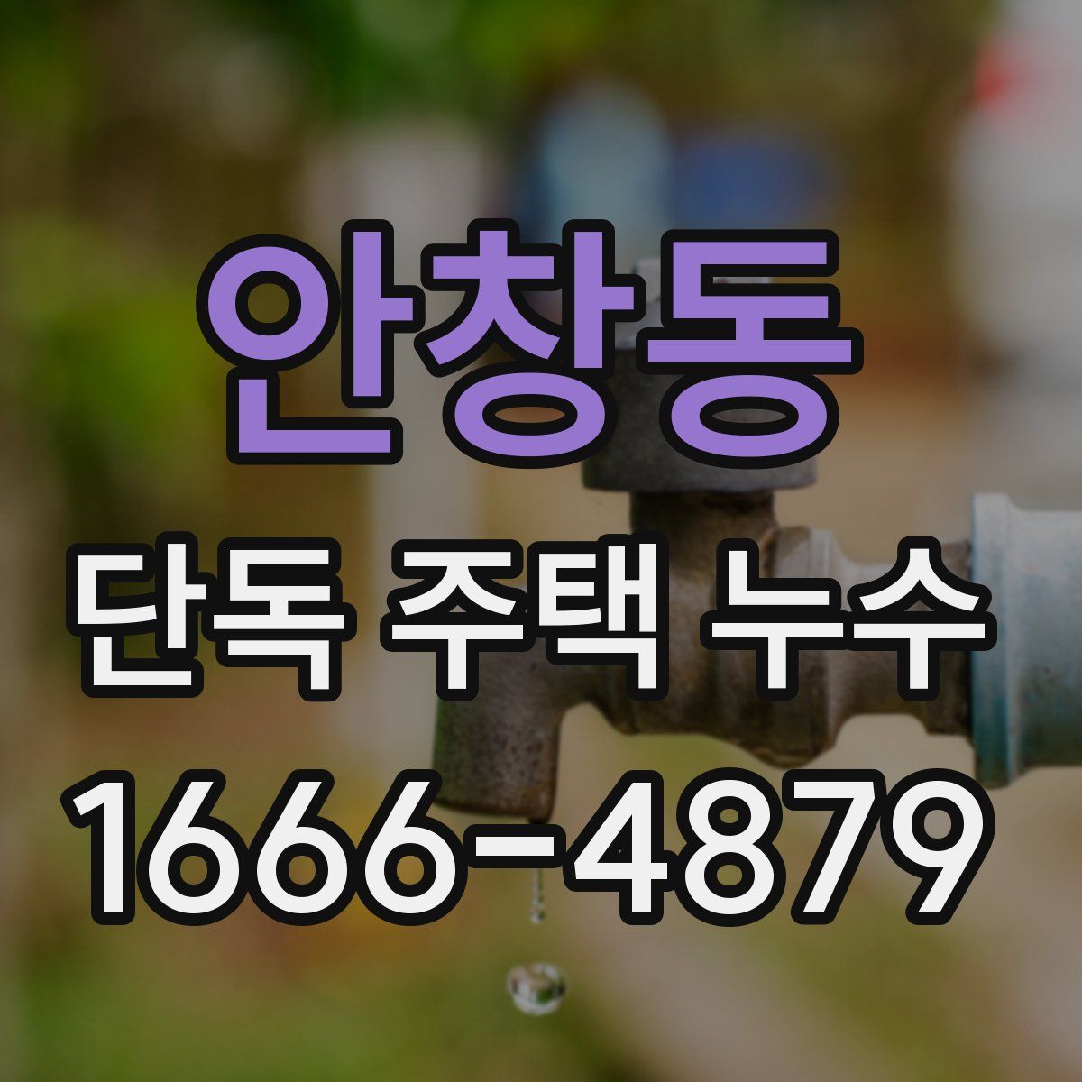 안창동 단독 주택 누수