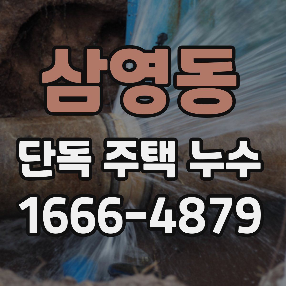 삼영동 단독 주택 누수