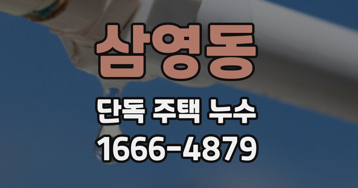 삼영동 단독 주택 누수