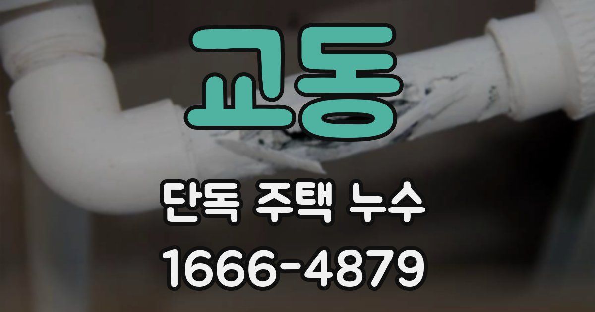 교동 단독 주택 누수