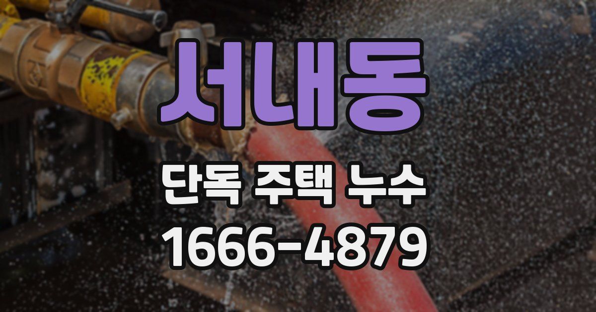 서내동 단독 주택 누수