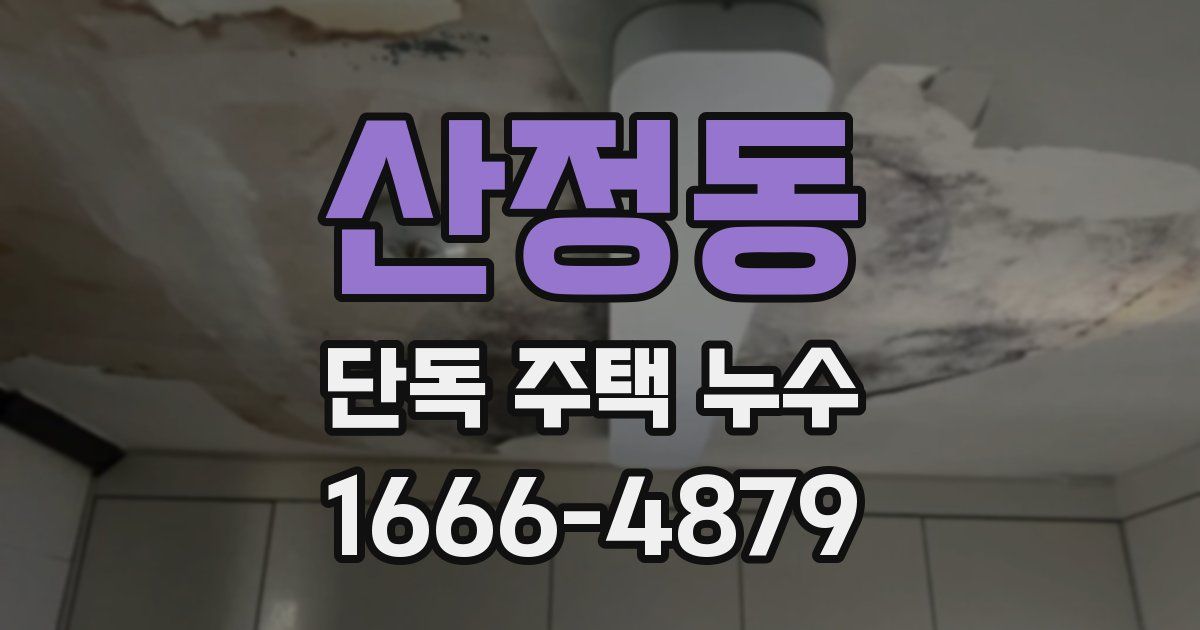 산정동 단독 주택 누수