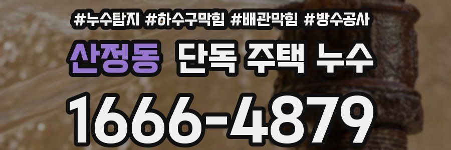 산정동 단독 주택 누수