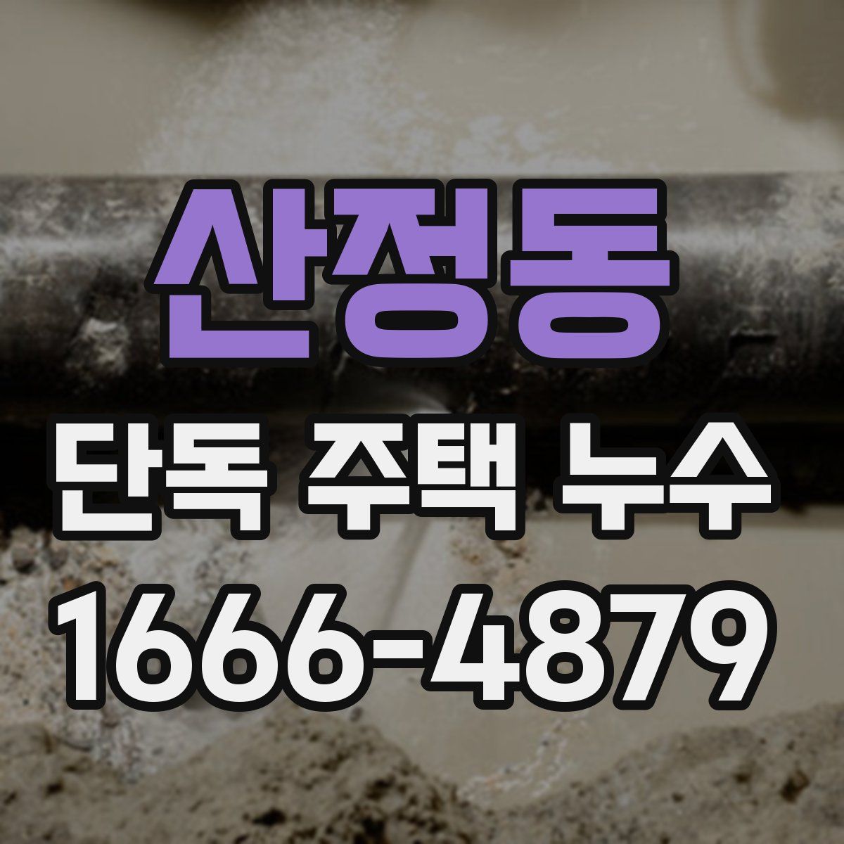 산정동 단독 주택 누수
