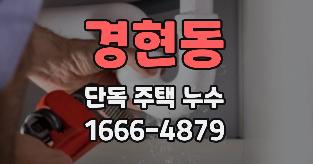 경현동 단독 주택 누수
