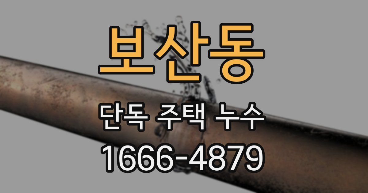 보산동 단독 주택 누수