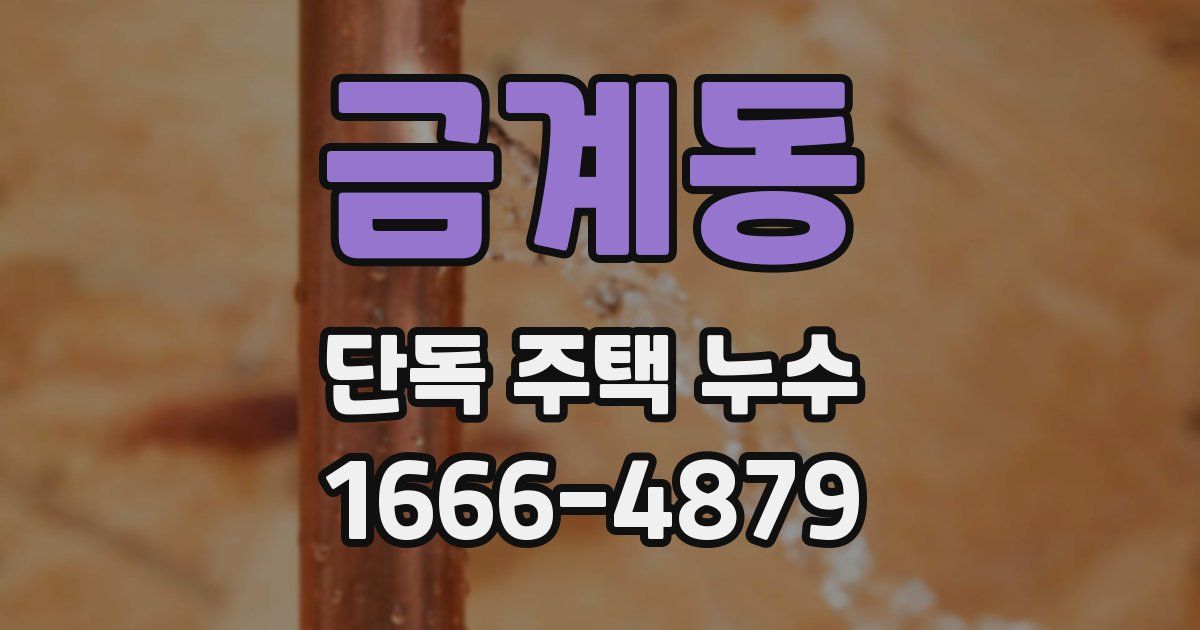 금계동 단독 주택 누수