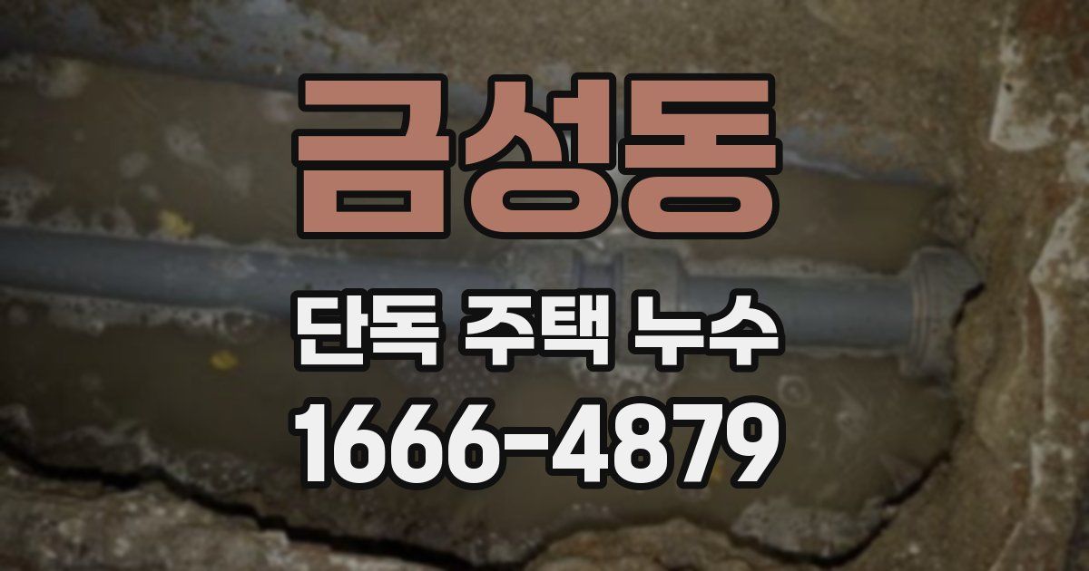 금성동 단독 주택 누수