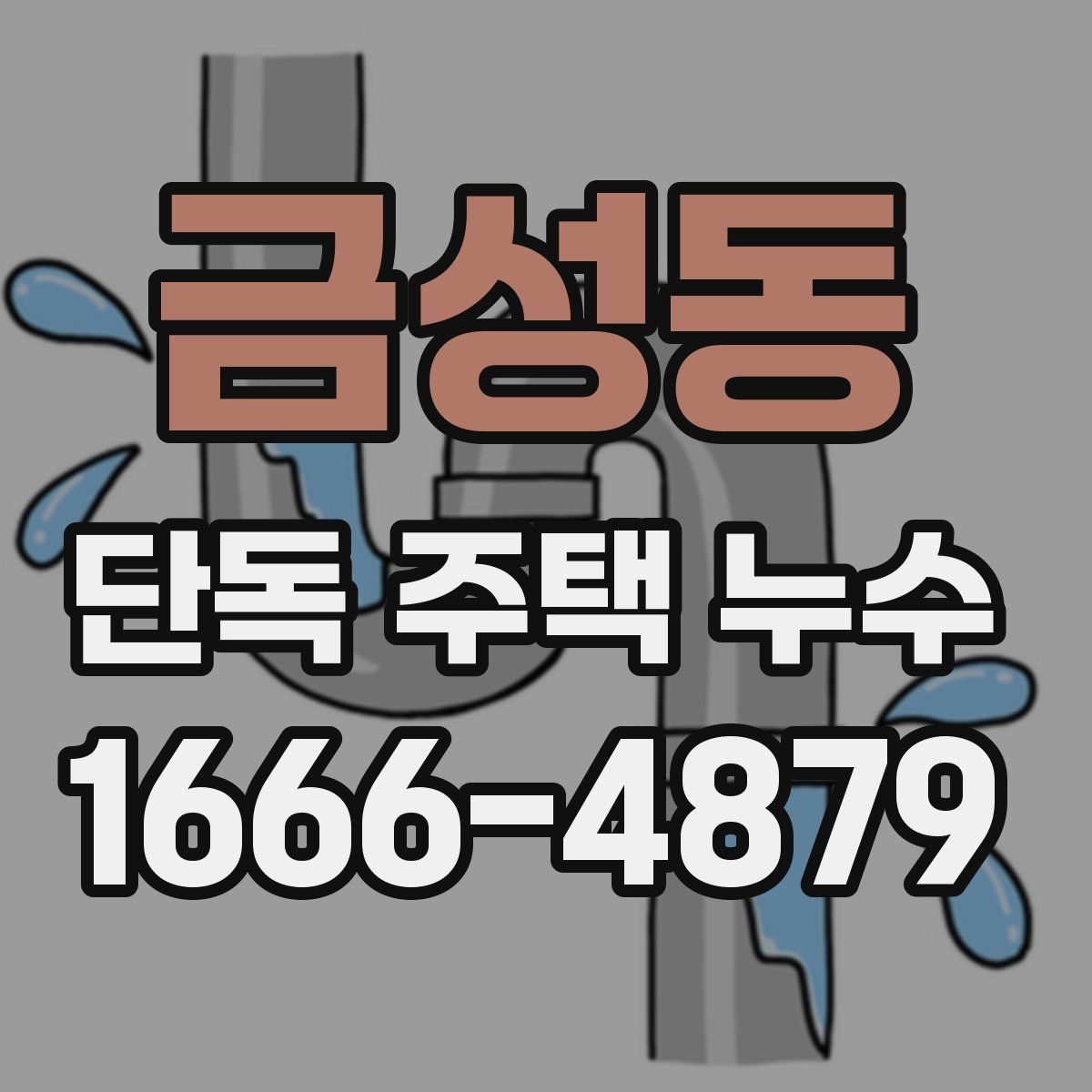 금성동 단독 주택 누수
