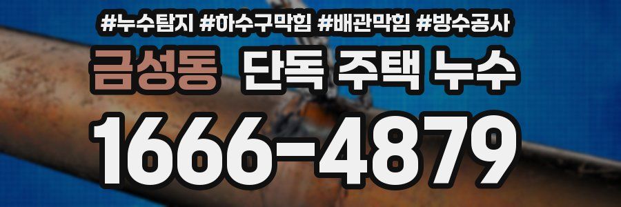 금성동 단독 주택 누수