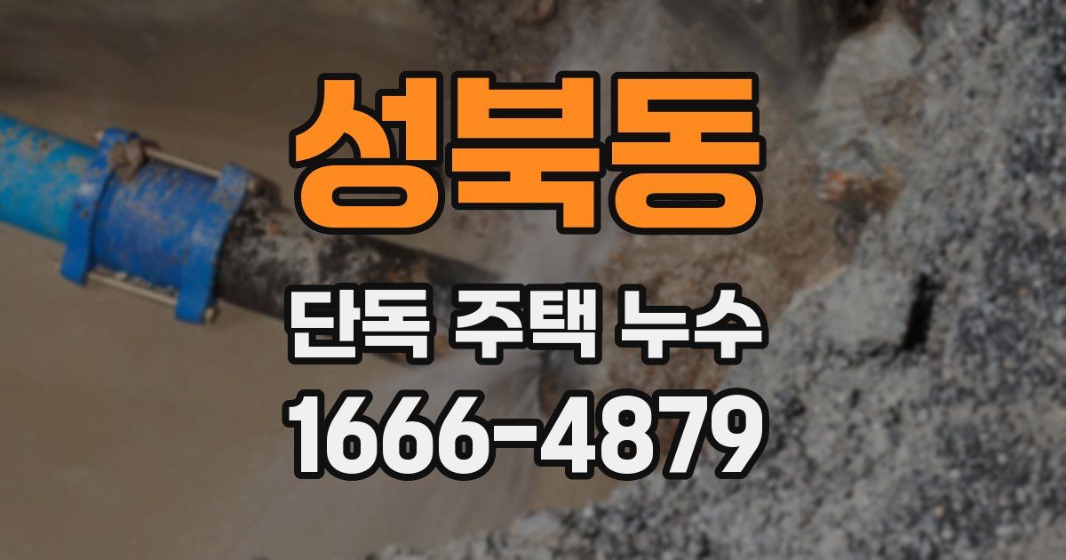 성북동 단독 주택 누수