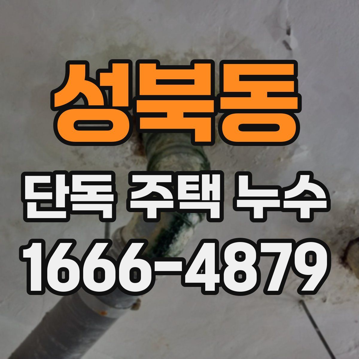 성북동 단독 주택 누수