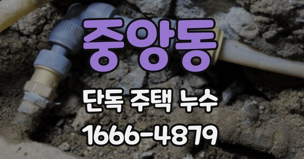 중앙동 단독 주택 누수