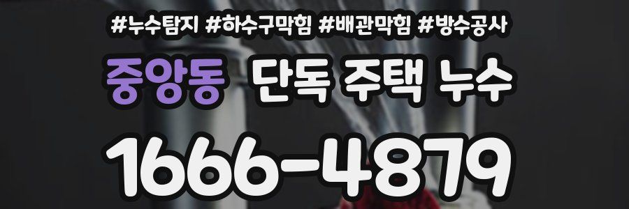중앙동 단독 주택 누수