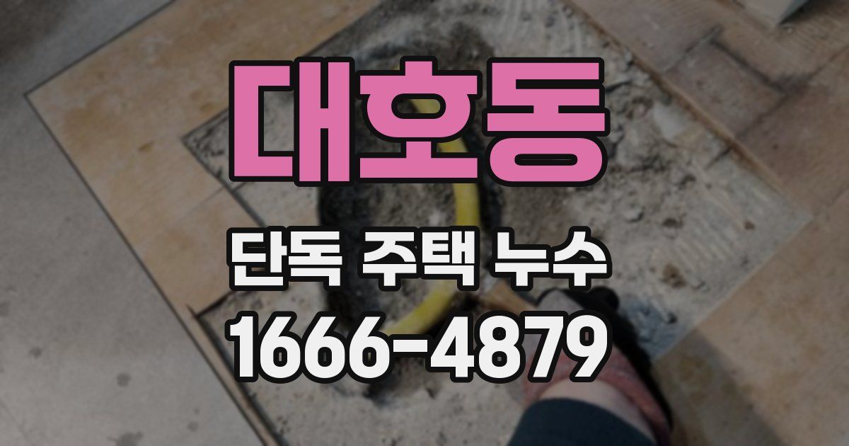 대호동 단독 주택 누수
