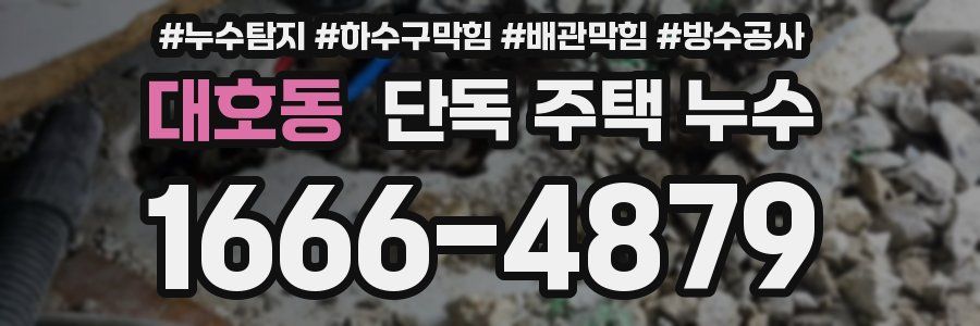 대호동 단독 주택 누수