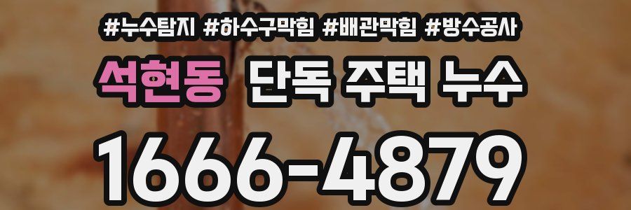 석현동 단독 주택 누수