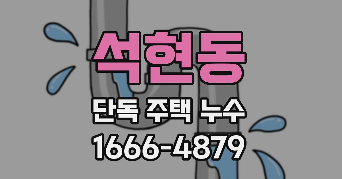 석현동 단독 주택 누수