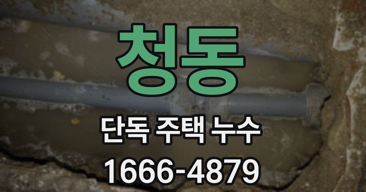 청동 단독 주택 누수