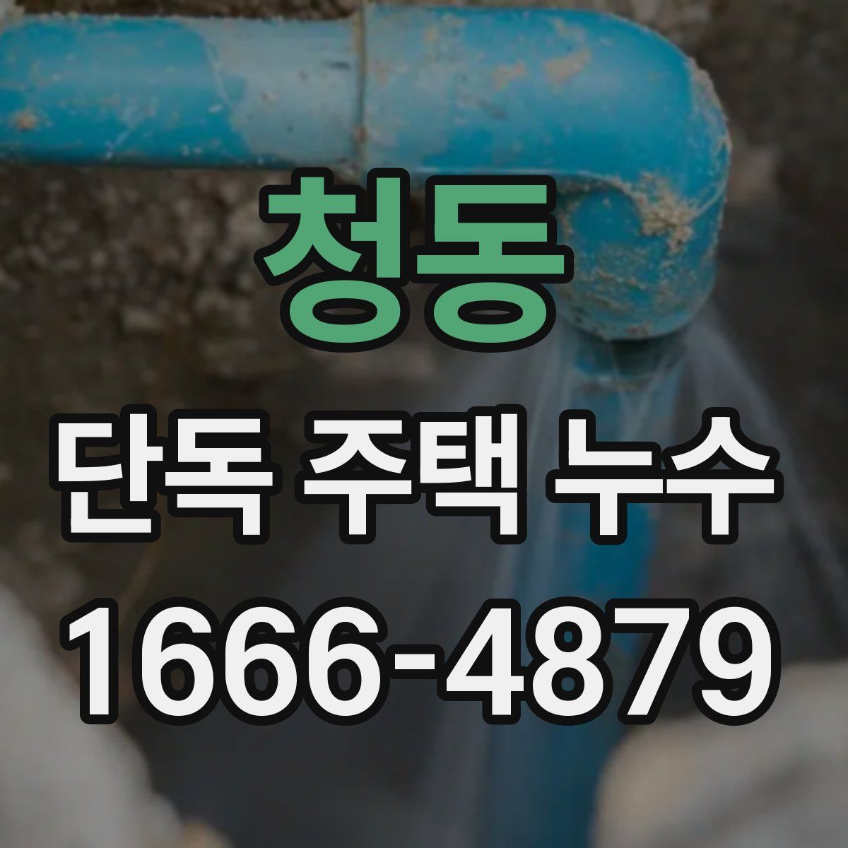 청동 단독 주택 누수