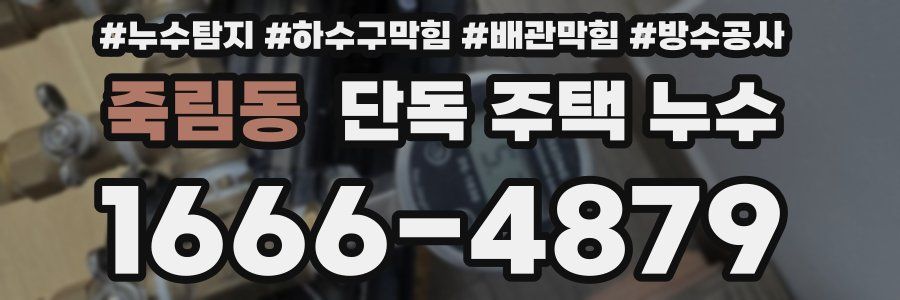 죽림동 단독 주택 누수