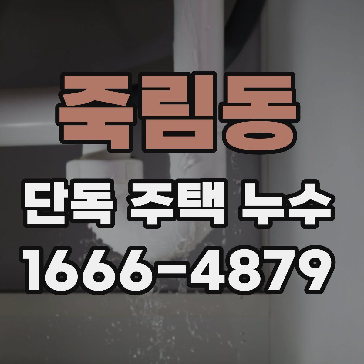 죽림동 단독 주택 누수