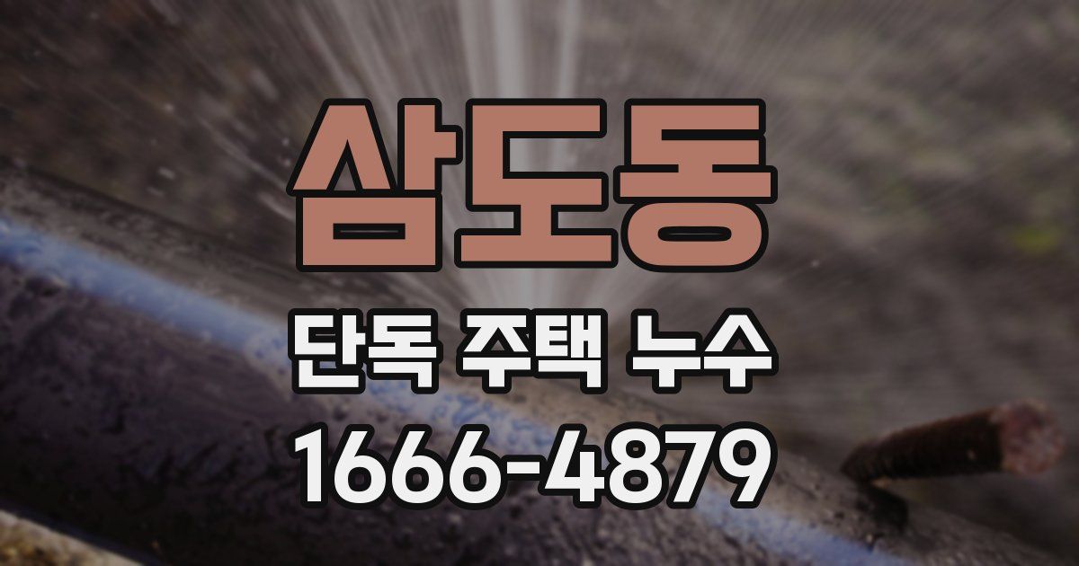 삼도동 단독 주택 누수