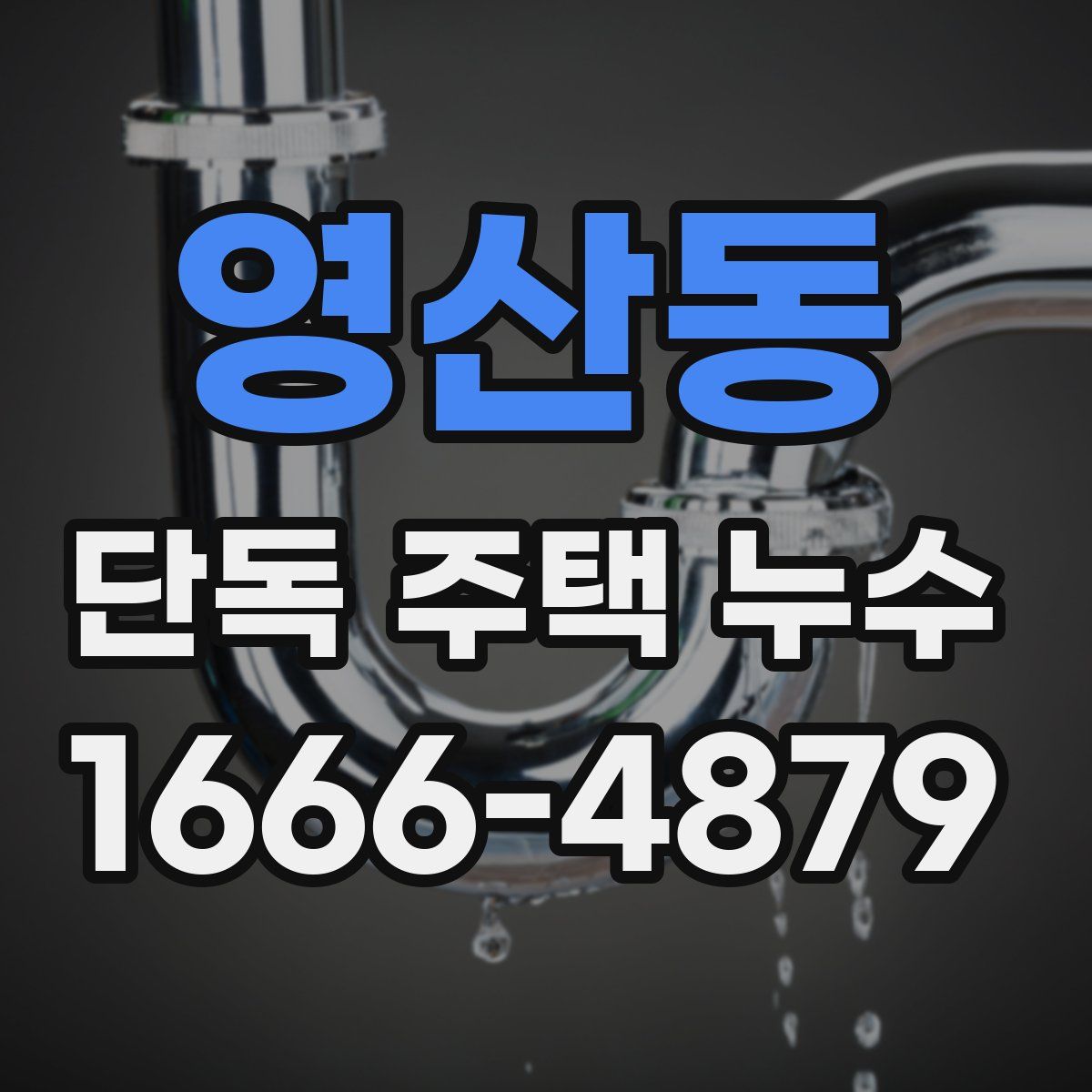 영산동 단독 주택 누수