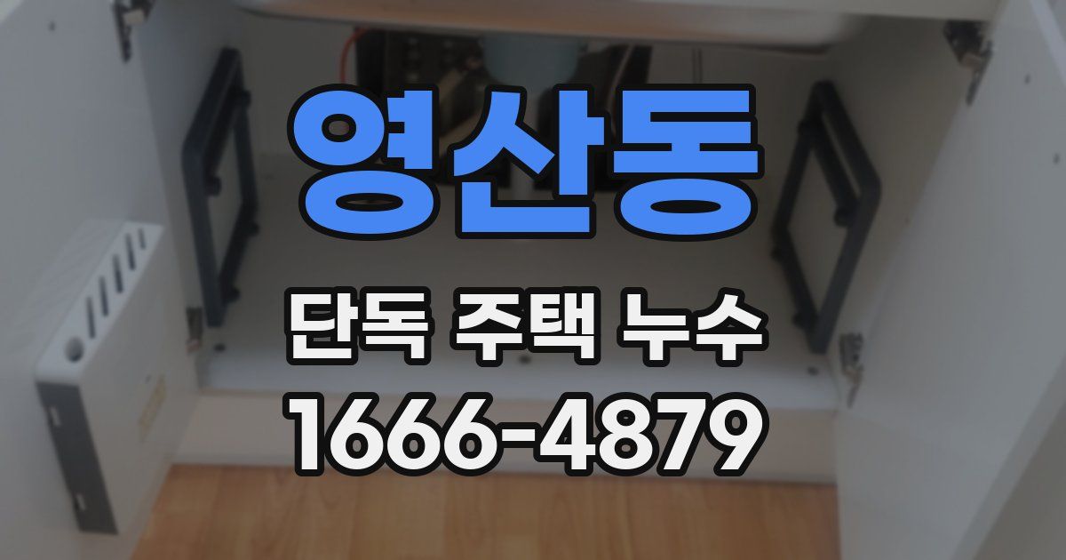 영산동 단독 주택 누수