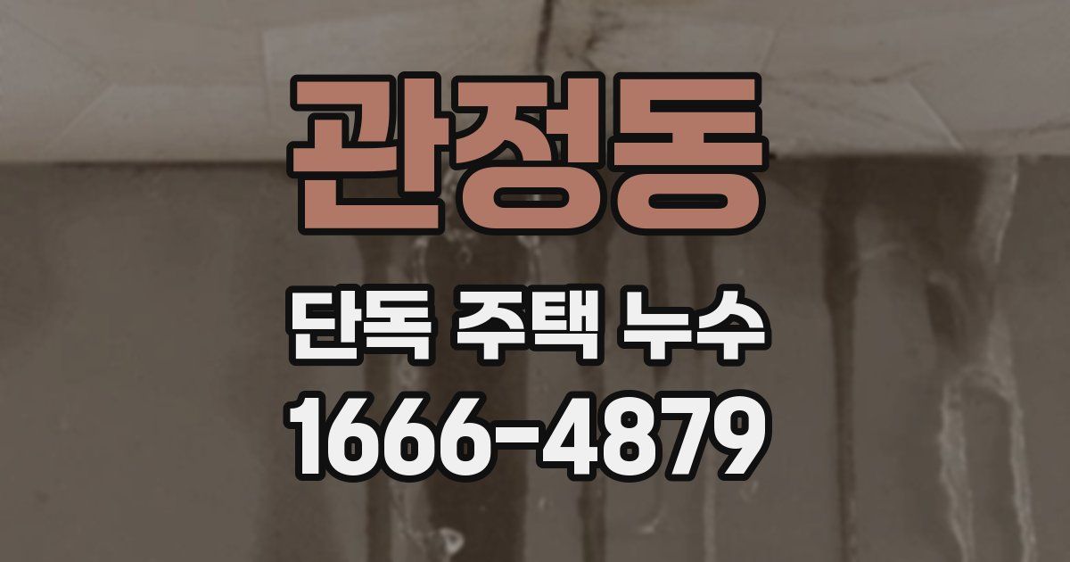 관정동 단독 주택 누수