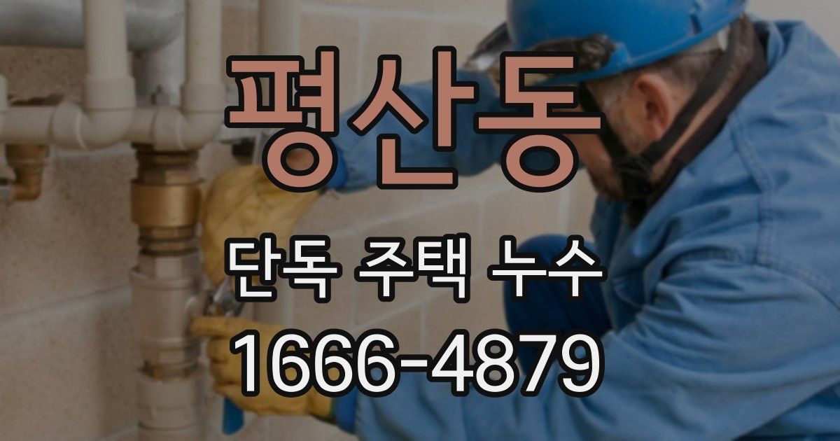 평산동 단독 주택 누수