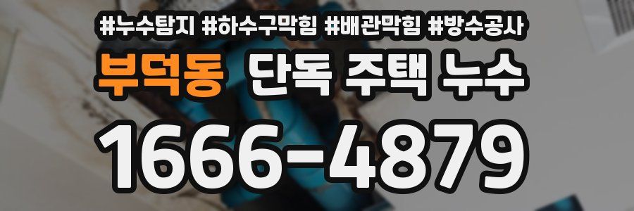 부덕동 단독 주택 누수