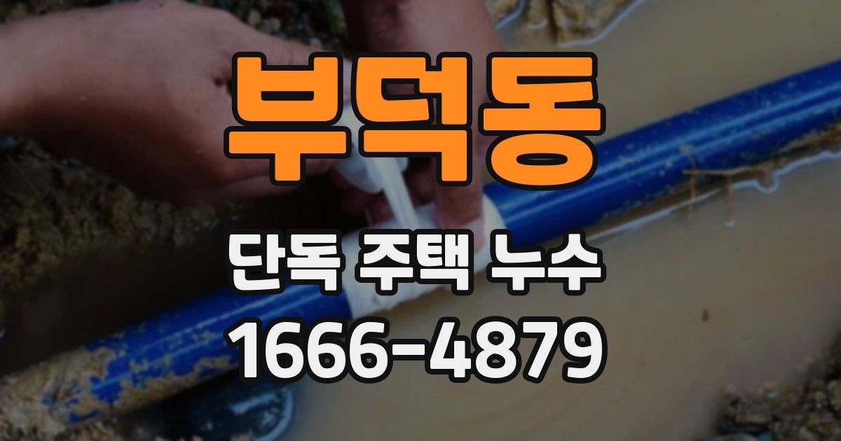 부덕동 단독 주택 누수