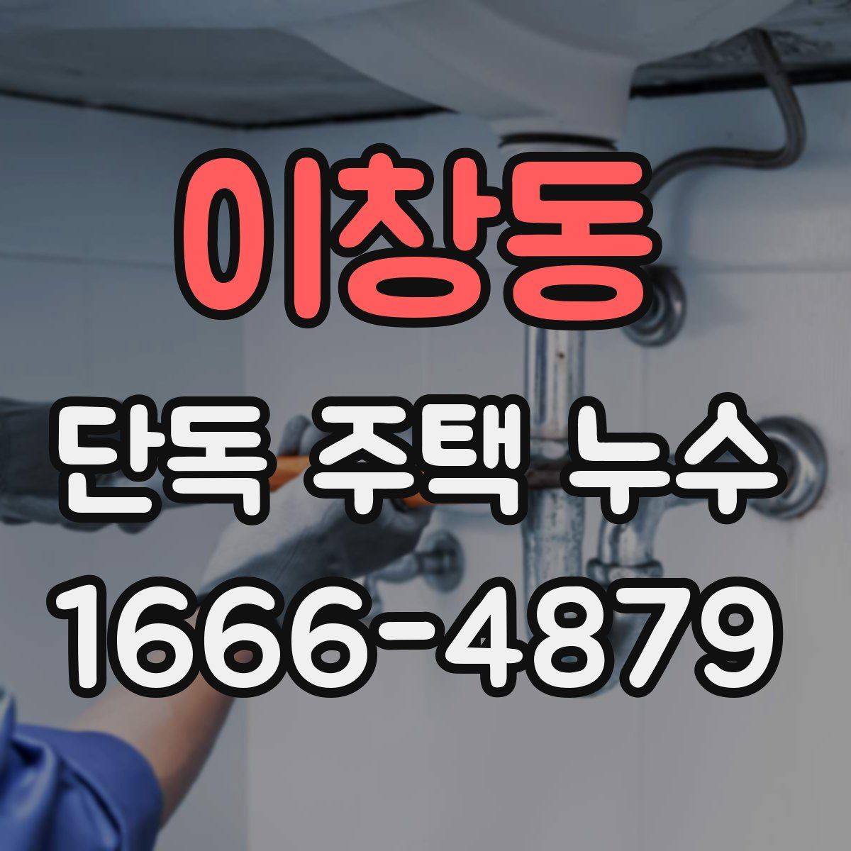 이창동 단독 주택 누수