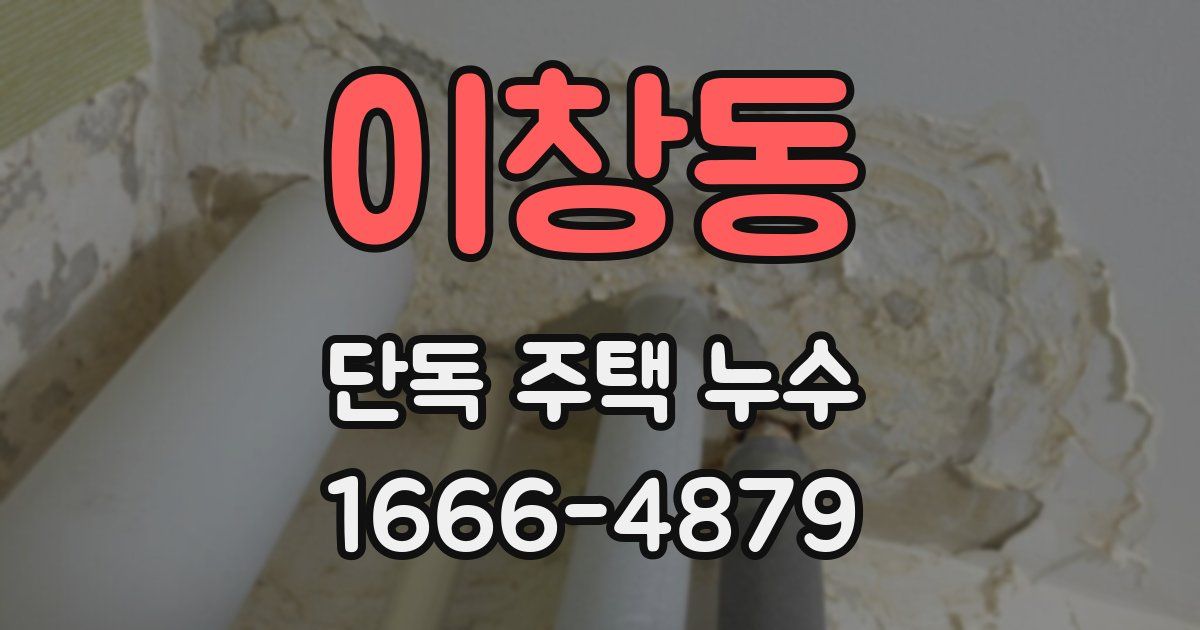 이창동 단독 주택 누수