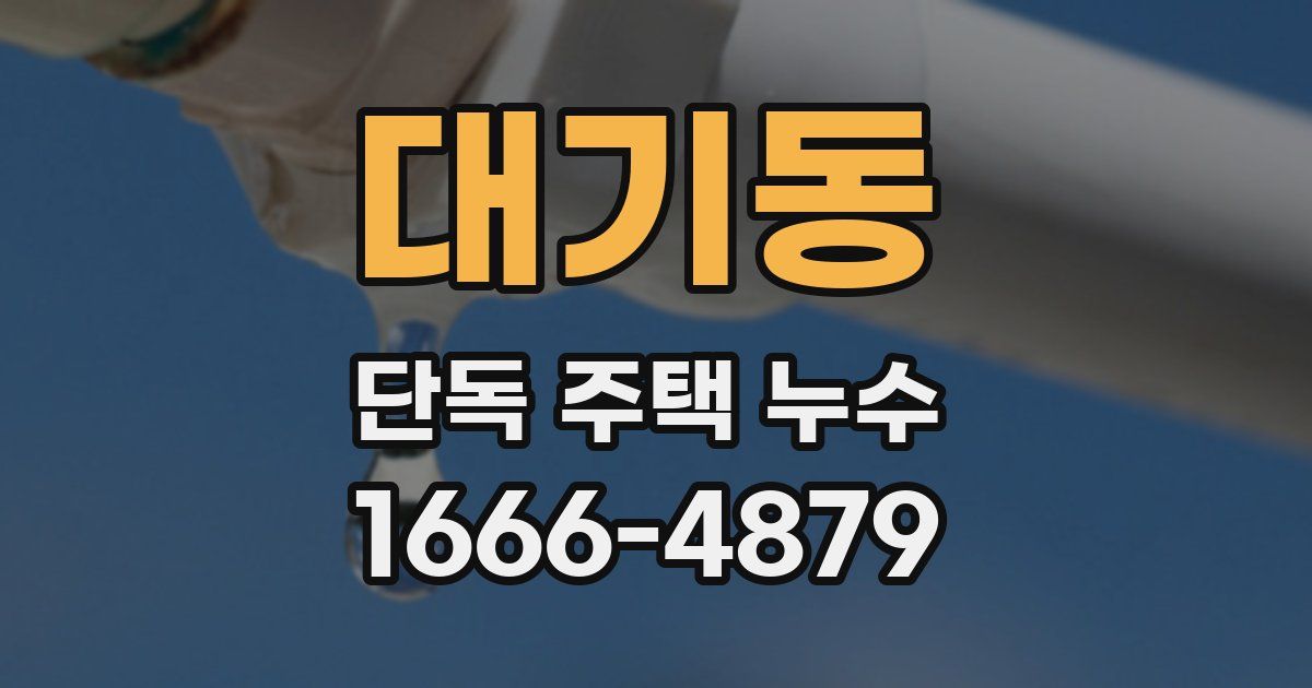 대기동 단독 주택 누수