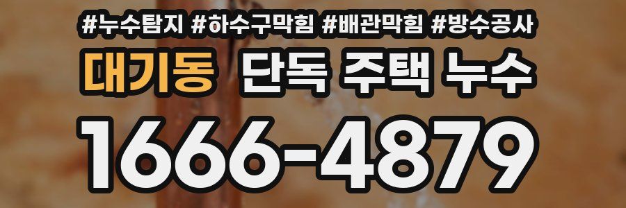대기동 단독 주택 누수