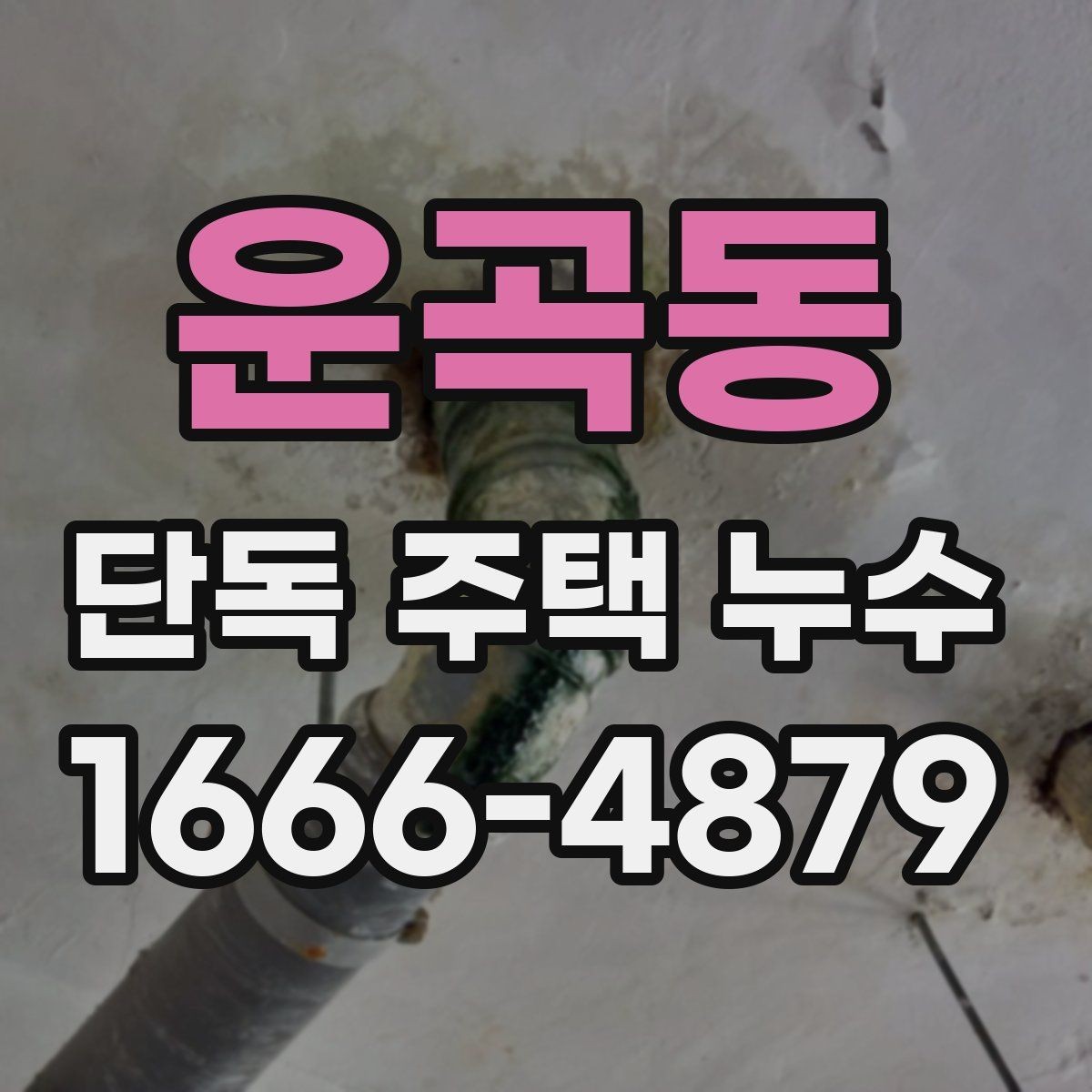 운곡동 단독 주택 누수 간단 점검으로 확인하는 방법